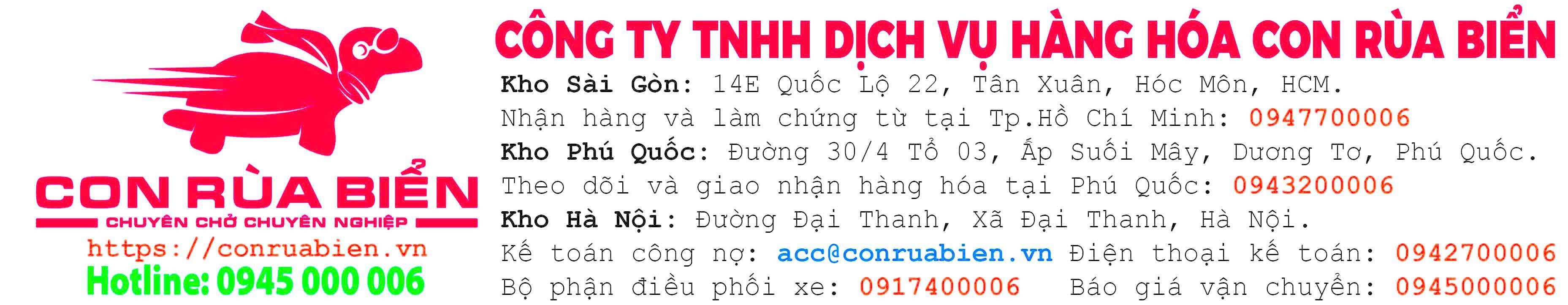 Con Rùa Biển Header